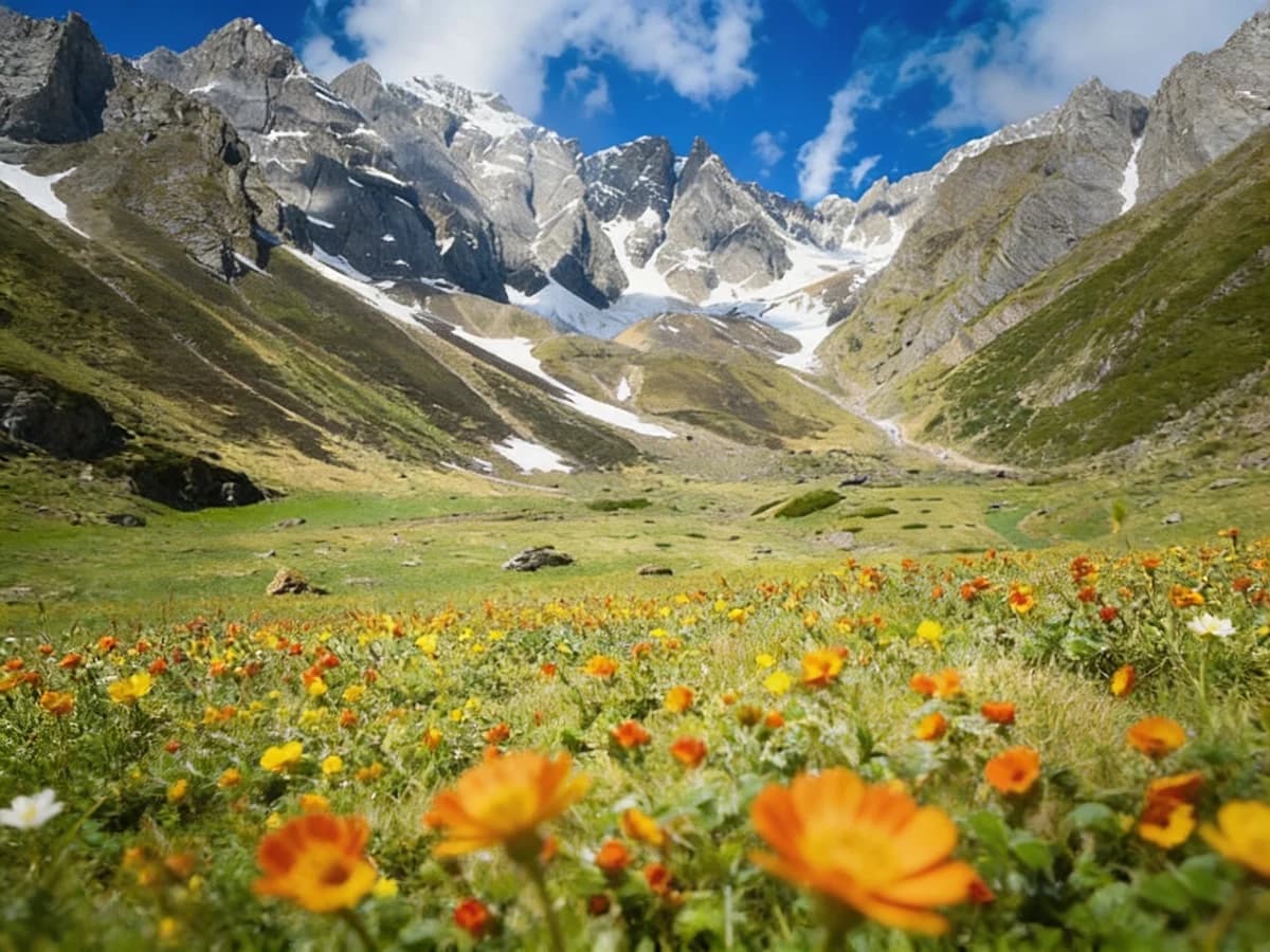 Orange and yellow wildflowers in a green alpine meadow beneath snowy mountain peaks and a vivid blue sky