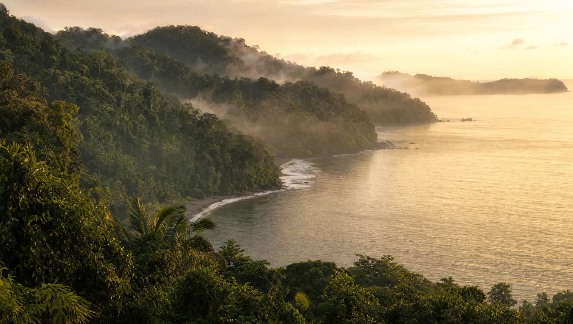 Sunrise over a forested coastline and a calm bay